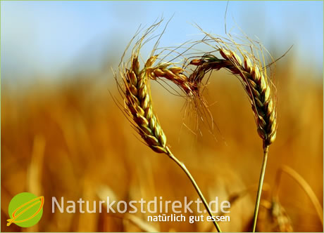 Naturkost direkt aus dem Naturmarkt